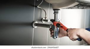 Best Commercial Plumbing Services  in Sumner, WA